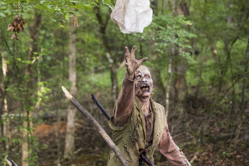Jual Poster TV Show The Walking Dead APC 341