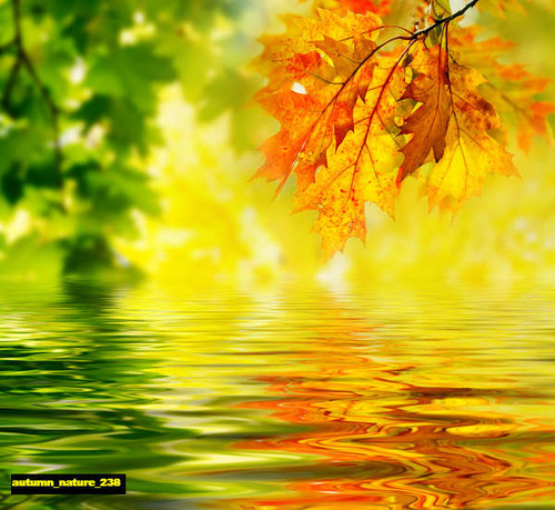jual poster pemandangan musim gugur autumn 238