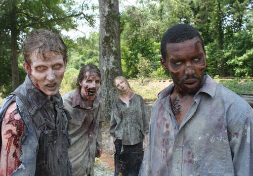 Jual Poster Zombie TV Show The Walking Dead APC 005