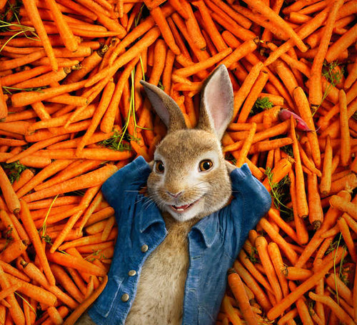 Jual Poster peter rabbit animation adventure comedy hd 4k WPS