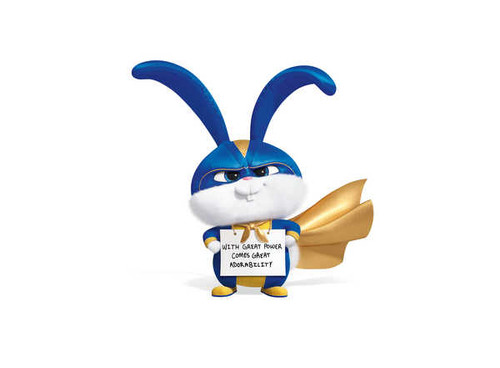 Jual Poster The Secret Life of Pets 2 Movie The Secret Life of Pets 23 APC198