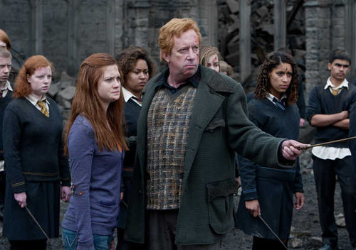 Jual Poster Arthur Weasley Ginny Weasley Harry Potter Harry Potter and the Deathly Hallows Part 2 APC