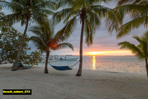 jual poster pemandangan pantai beach 273 jual poster pemandangan pantai beach 273