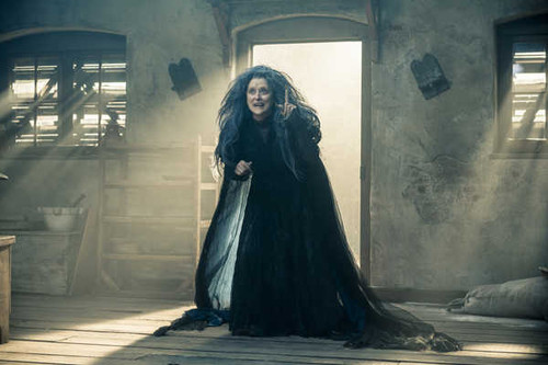 Jual Poster Into The Woods (2014) Meryl Streep Witch Movie Into The Woods (2014) APC002