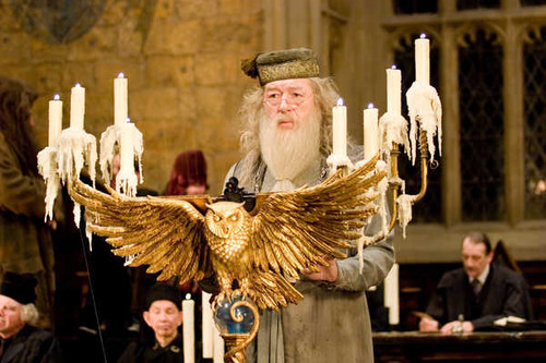 Jual Poster Albus Dumbledore Michael Gambon Harry Potter Harry Potter and the Goblet of Fire APC002