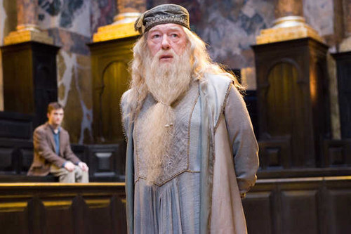 Jual Poster Albus Dumbledore Harry Potter Harry Potter and the Order of the Phoenix APC