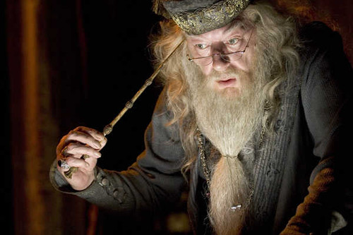 Jual Poster Albus Dumbledore Michael Gambon Harry Potter Harry Potter and the Goblet of Fire APC001