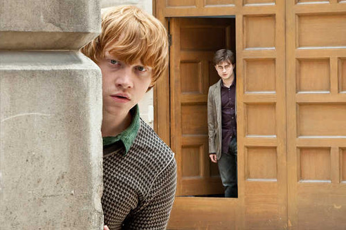 Jual Poster Harry Potter Ron Weasley Harry Potter Harry Potter and the Deathly Hallows Part 1 APC