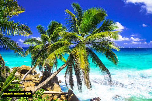 jual poster pemandangan pantai beach 439