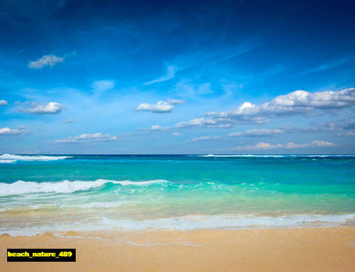 jual poster pemandangan pantai beach 489