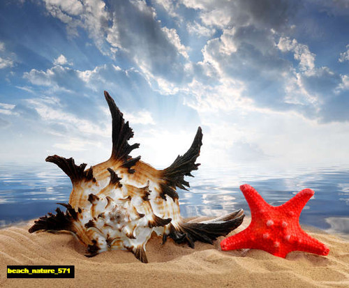 jual poster pemandangan pantai beach 571 jual poster pemandangan pantai beach 571