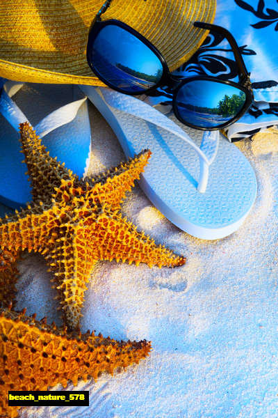 jual poster pemandangan pantai beach 578