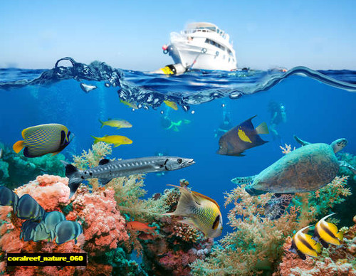 jual poster pemandangan terumbu karang coralreef 060