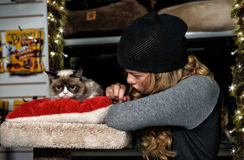 Jual Poster Cat Grumpy Cat Grumpy Cat's Worst Christmas Ever Movie Grumpy Cat's Worst Christmas Ever APC