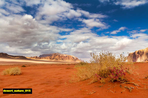 jual poster pemandangan padang pasir gurun desert 015