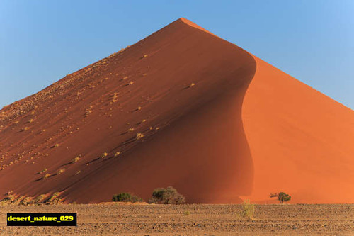 jual poster pemandangan padang pasir gurun desert 029