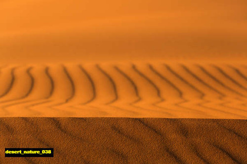 jual poster pemandangan padang pasir gurun desert 038