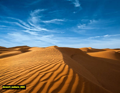 jual poster pemandangan padang pasir gurun desert 065