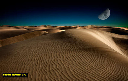 jual poster pemandangan padang pasir gurun desert 077