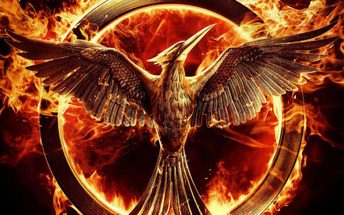 Jual Poster Fire Mockingjay The Hunger Games The Hunger Games The Hunger Games Mockingjay Part 1 APC