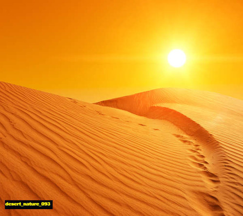 jual poster pemandangan padang pasir gurun desert 093