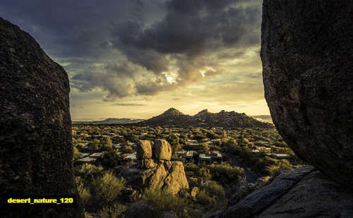 jual poster pemandangan padang pasir gurun desert 120