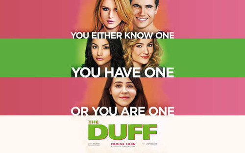 Jual Poster Movie The DUFF APC002