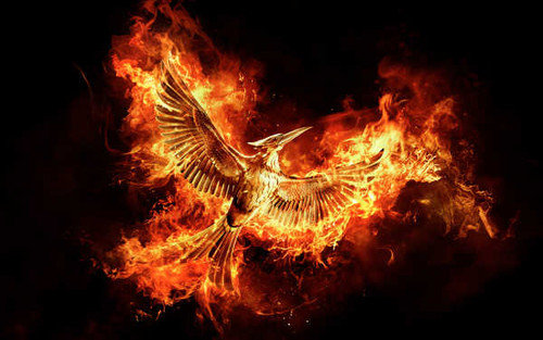 Jual Poster The Hunger Games Mockingjay Part 2 The Hunger Games The Hunger Games Mockingjay Part 2 APC002