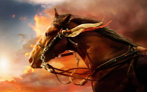 Jual Poster War Horse Movie War Horse APC