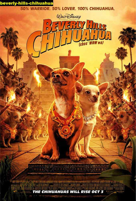 Jual Poster Film beverly hills chihuahua