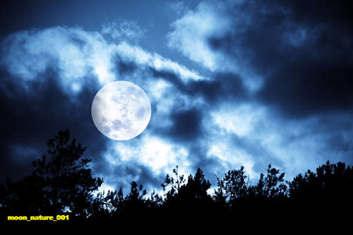 jual poster pemandangan moon 001