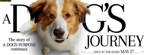 Jual Poster Film dogs journey ver6