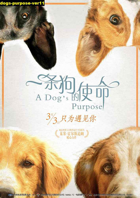 Jual Poster Film dogs purpose ver11