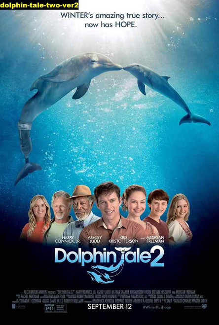 Jual Poster Film dolphin tale two ver2