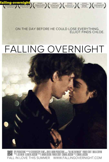 Jual Poster Film falling overnight