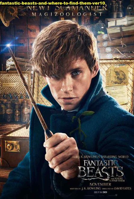 Jual Poster Film fantastic beasts and where to find them ver10