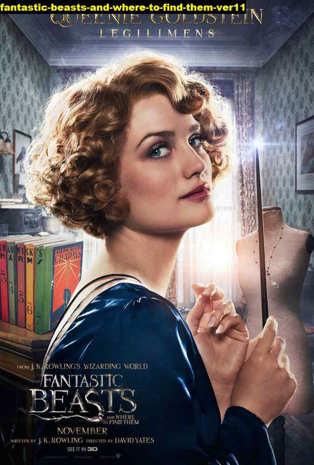 Jual Poster Film fantastic beasts and where to find them ver11