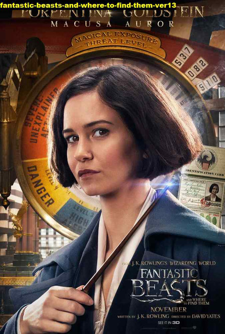 Jual Poster Film fantastic beasts and where to find them ver13