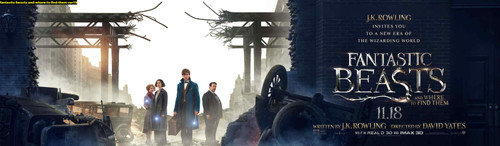 Jual Poster Film fantastic beasts and where to find them ver19