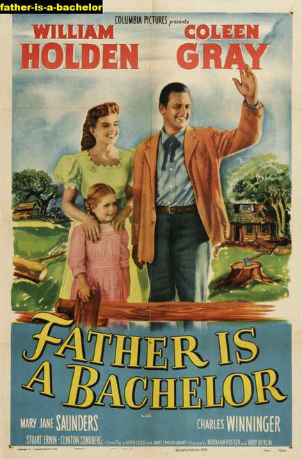 Jual Poster Film father is a bachelor