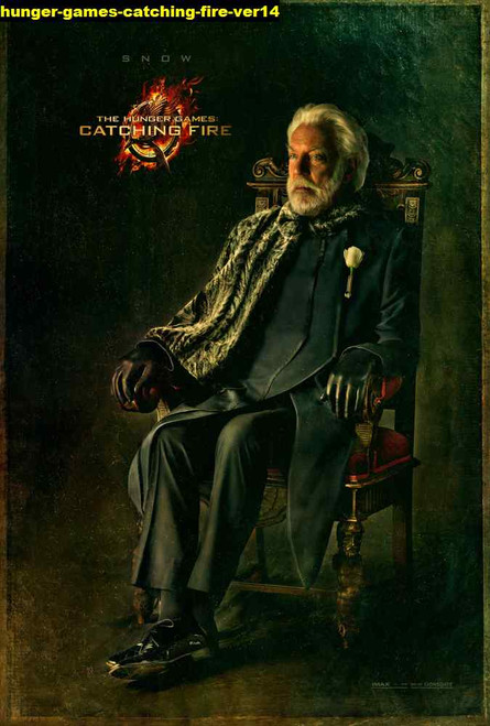 Jual Poster Film hunger games catching fire ver14