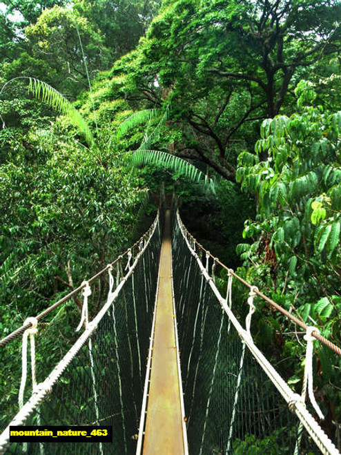 jual poster pemandangan gunung mountain 463 jual poster pemandangan gunung mountain 463