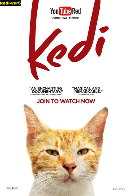 Jual Poster Film kedi ver5