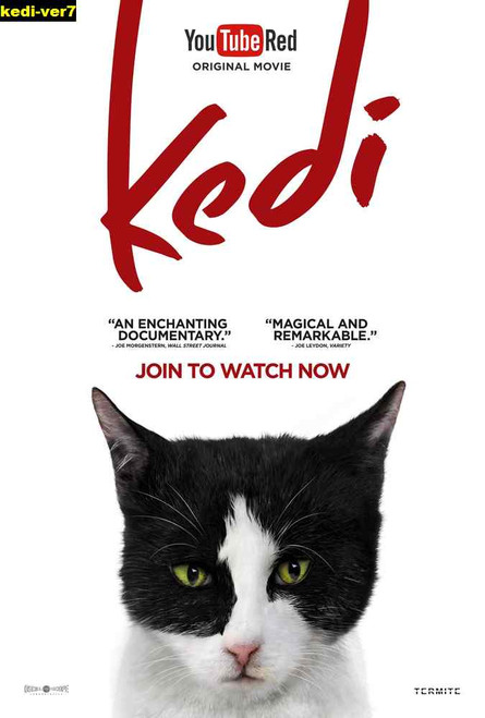 Jual Poster Film kedi ver7