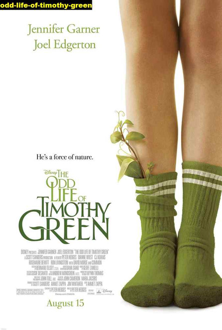 Jual Poster Film odd life of timothy green