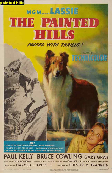 Jual Poster Film painted hills