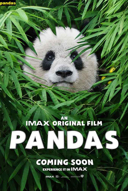 Jual Poster Film pandas