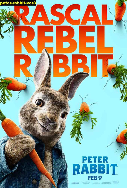 Jual Poster Film peter rabbit ver3