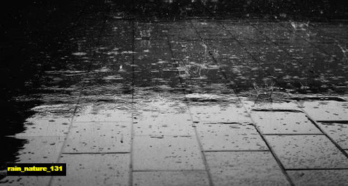 jual poster pemandangan hujan rain 131