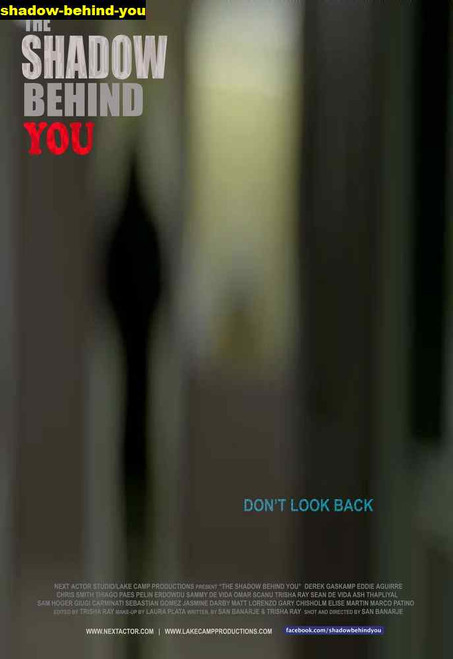 Jual Poster Film shadow behind you
